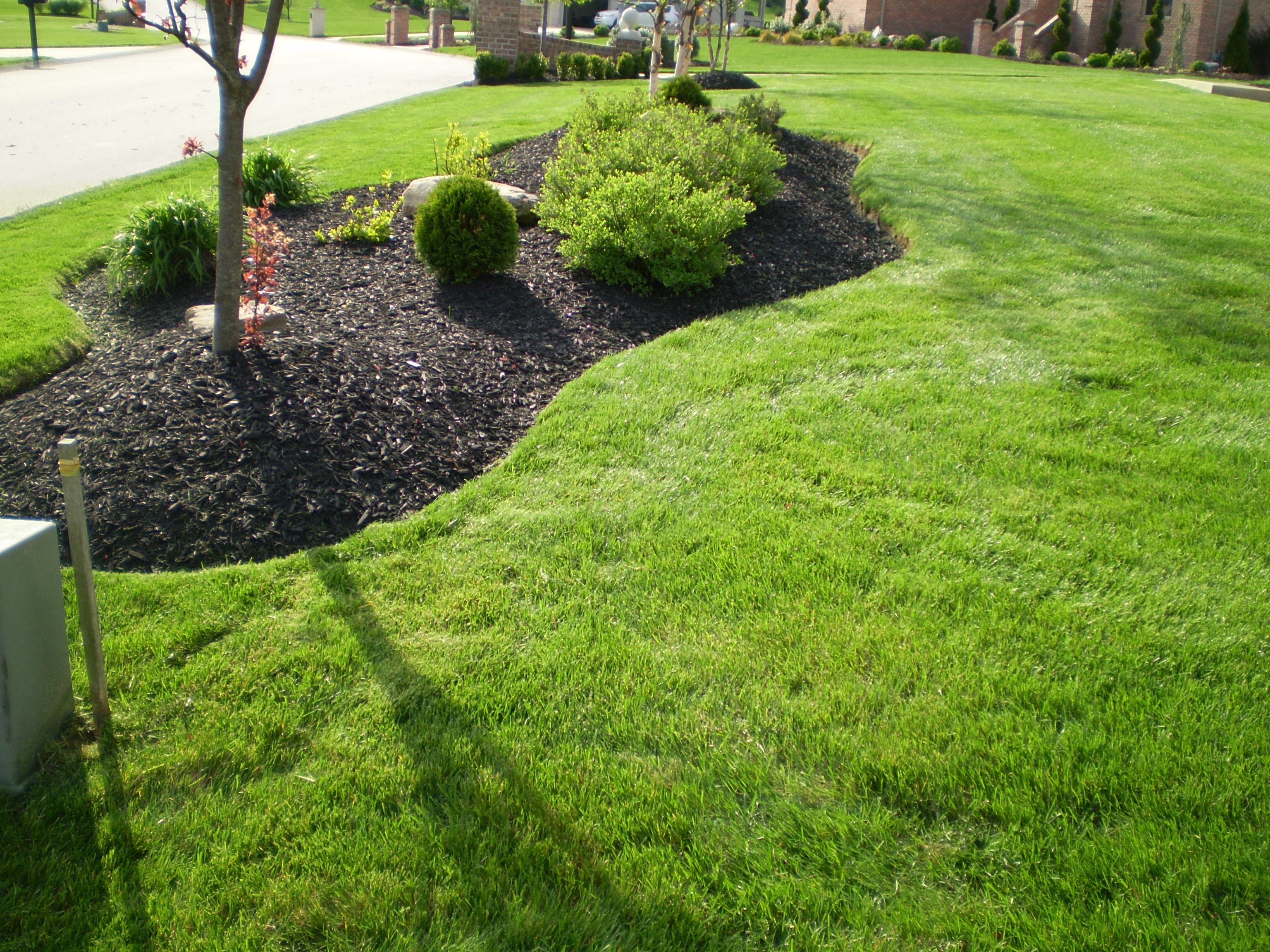 LANDSCAPING SERVICES